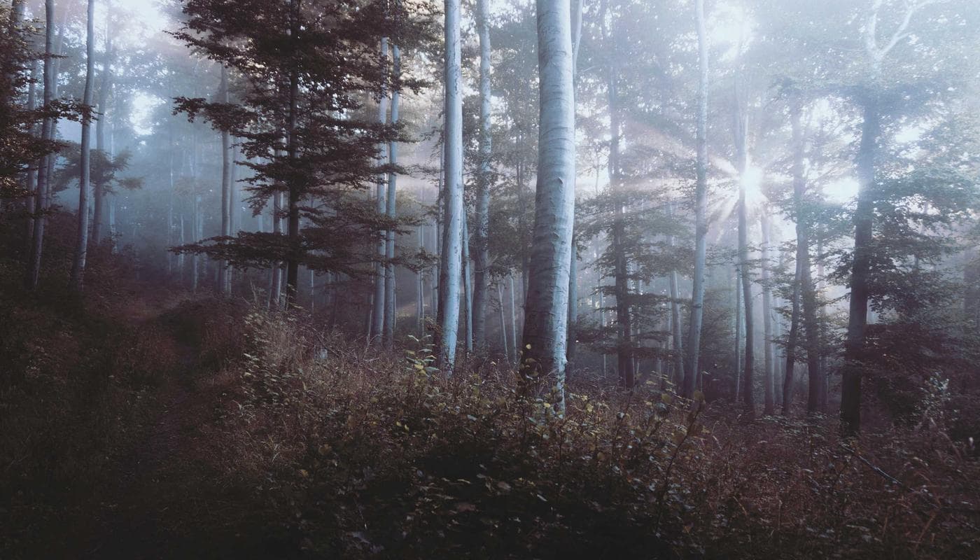 Réhabilitation de l'aéroport de Bipemba : des conteneurs contenant du matériel bloqués à Lubumbashi