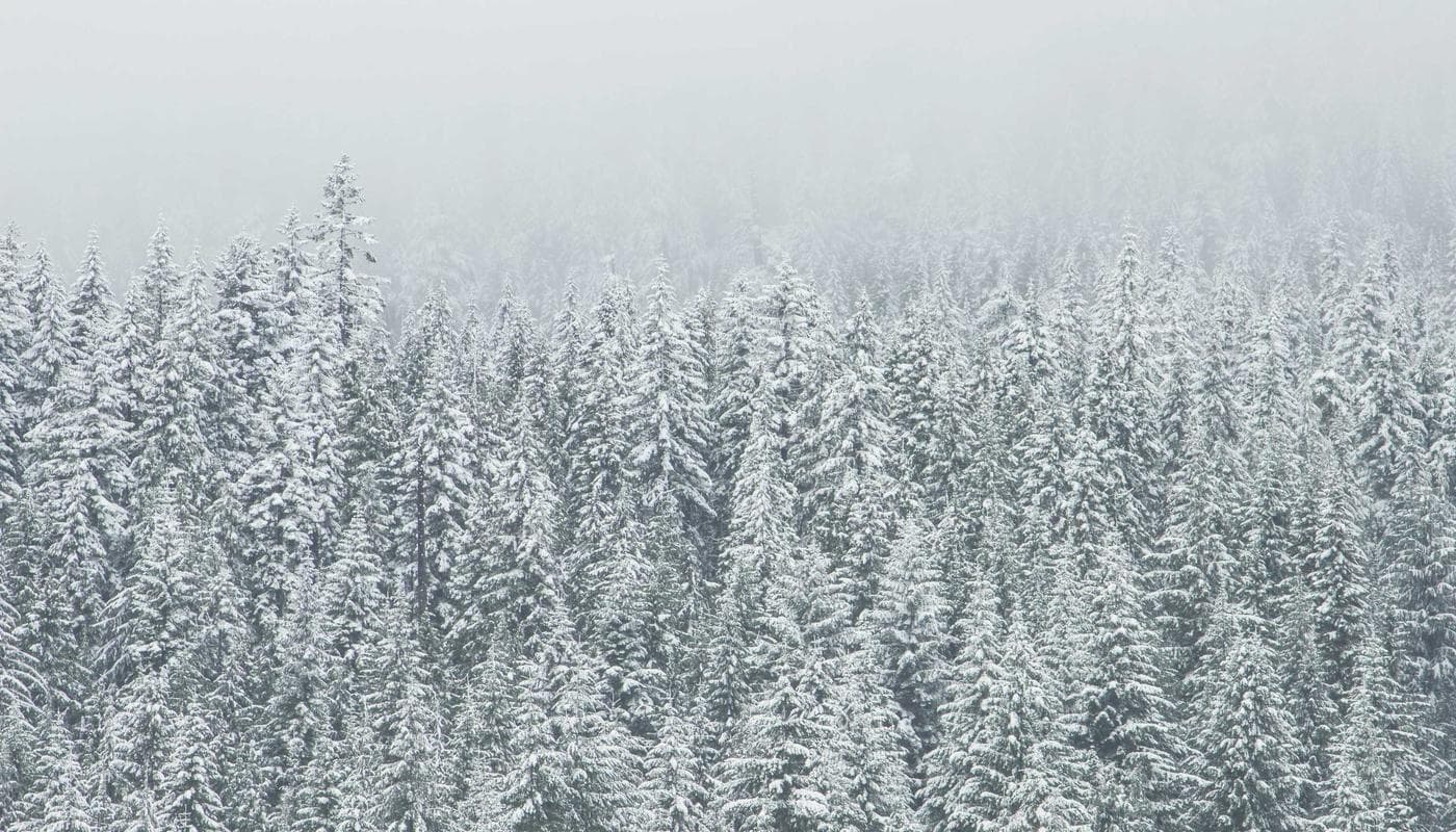Haïti : le président Jovenel Moïse assassiné dans sa résidence