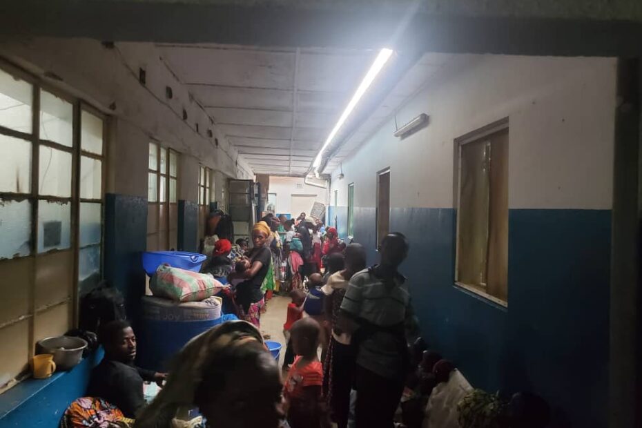 msf nord kivu